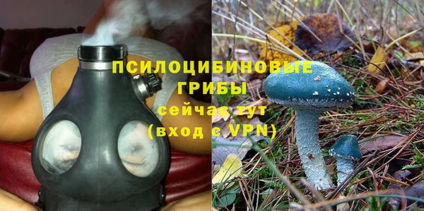 2c-b Осташков
