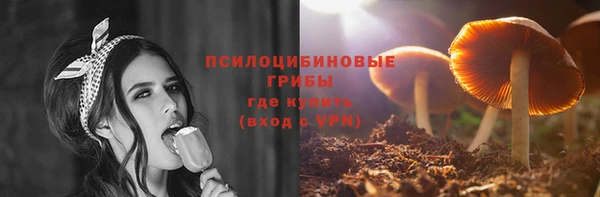 2c-b Осташков