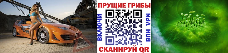 что такое наркотик  Арзамас  Псилоцибиновые грибы Psilocybine cubensis 