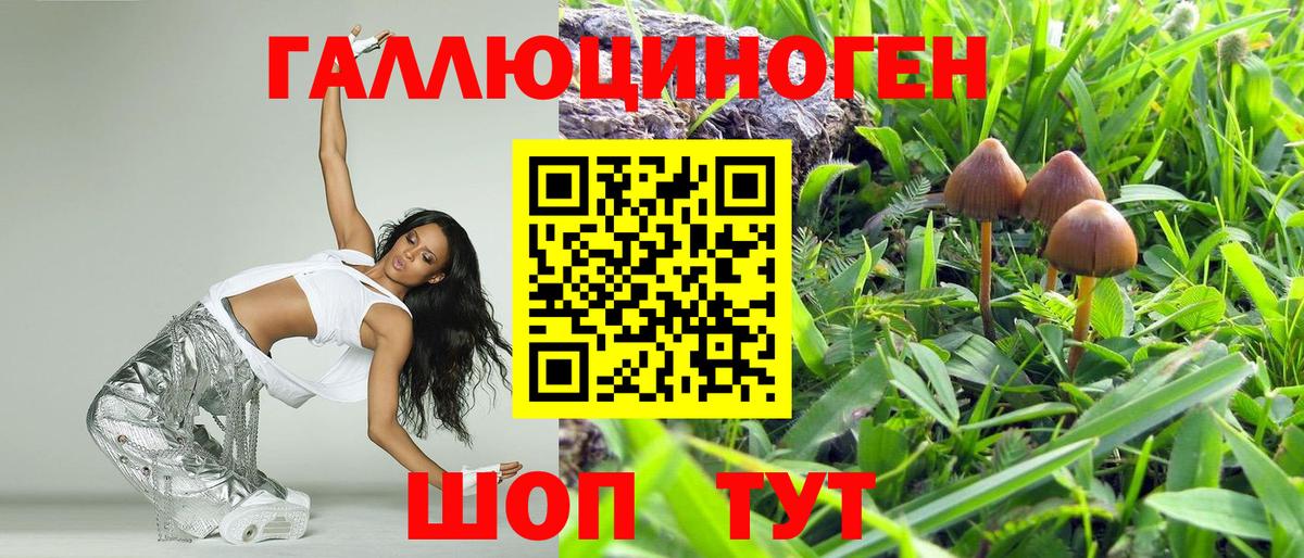 даркнет сайт  Псилоцибиновые грибы Psilocybe  Вход с VPN  Арзамас 